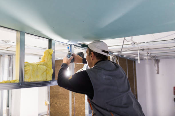 Best Specialized Insulation Services in Whitesboro, NY