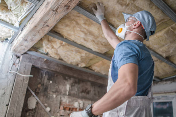 Best Geographic-Specific Insulation Services in Whitesboro, NY